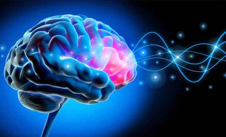 Ваш мозг умеет перестраиваться: как КПТ создает устойчивые изменения (подтверждено нейробиологией*).