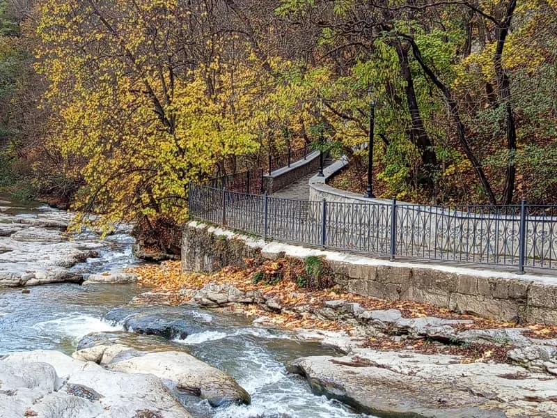 Анализ сновидений 