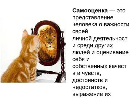 Индивидуальная консультация