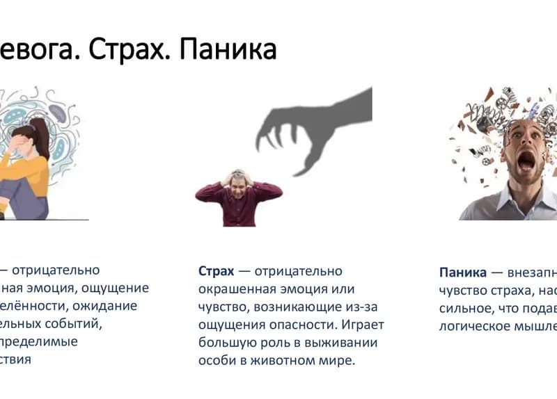 Индивидуальная консультация