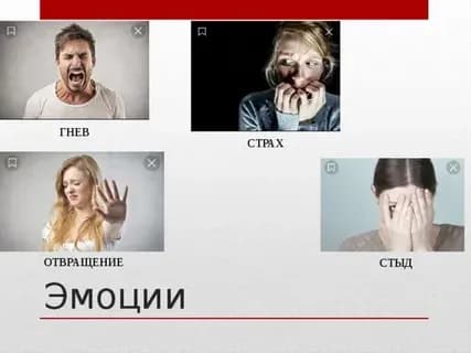 Индивидуальная консультация