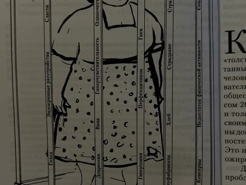  Распутать сложные отношения с едой (РПП, НПП)