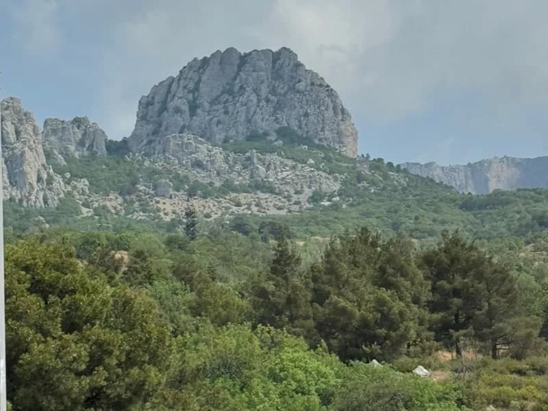 Кризисное консультирование