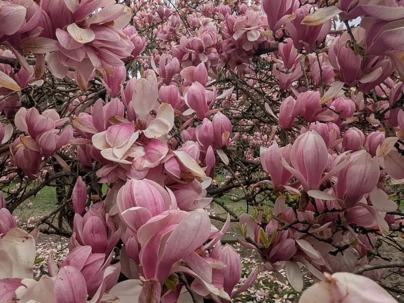 Индивидуальная консультация 